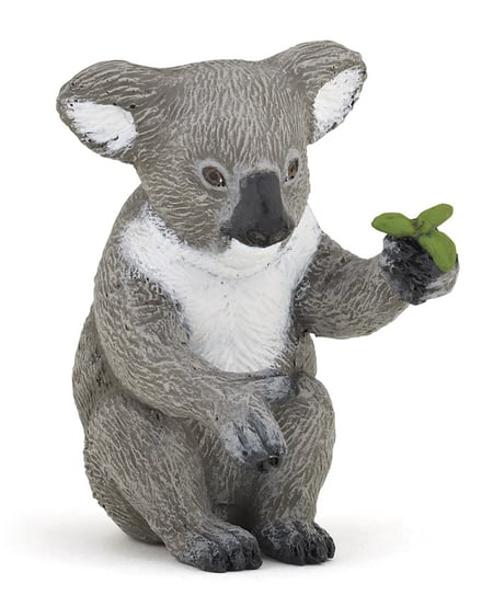 media/pim/koala-koala-3465000501112_0.jpg
