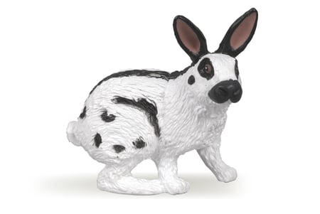 media/pim/lapin-papillon-lapin-papillon-3465000510251_0.jpg
