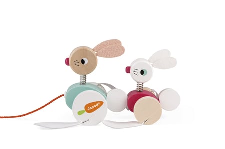 media/pim/lapins-a-promener-zigolos-3700217382070_10.jpg