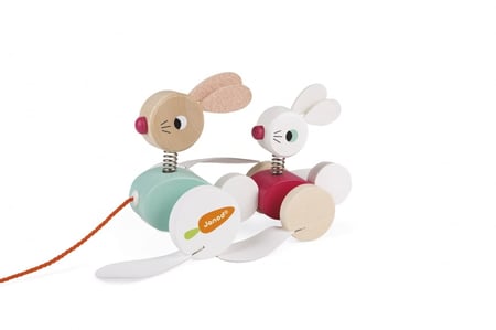 media/pim/lapins-a-promener-zigolos-3700217382070_3.JPG
