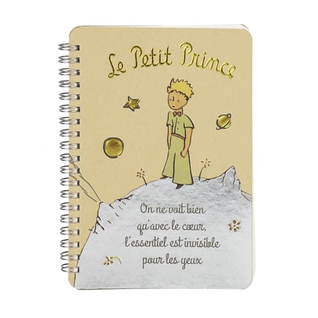 media/pim/le-petit-prince-notebook-nuit-etoiles-3453131147965_0.jpg
