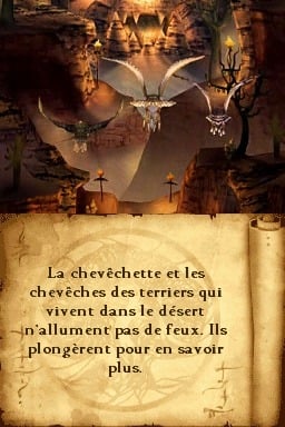 media/pim/le-royaume-de-ga-hoole-la-legende-des-gardiens-5051889036852_10.jpg