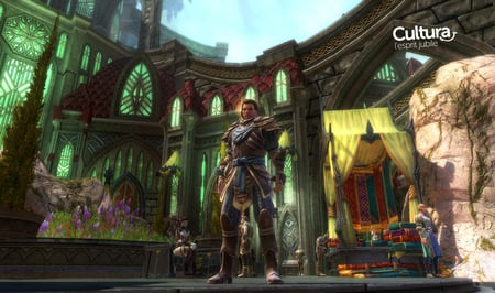 media/pim/les-royaumes-d-amalur-reckoning-5030931103643_4.jpg