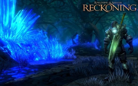 media/pim/les-royaumes-d-amalur-reckoning-5030931103773_10.jpg