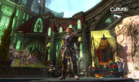media/pim/les-royaumes-d-amalur-reckoning-5030931103773_4.jpg