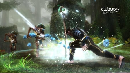 media/pim/les-royaumes-d-amalur-reckoning-5030931103803_6.jpg