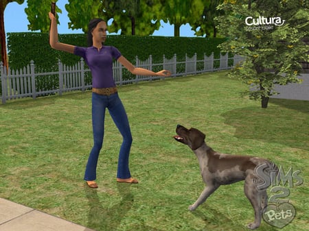 media/pim/les-sims-2-animaux-cie-3700664501598_3.jpg