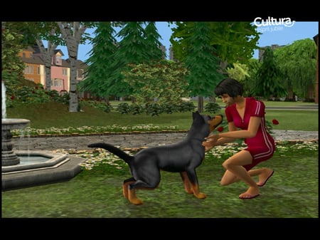 media/pim/les-sims-2-animaux-cie-3700664501598_4.jpg