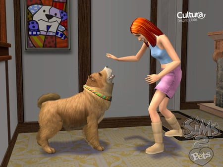 media/pim/les-sims-2-animaux-cie-3700664501598_5.jpg
