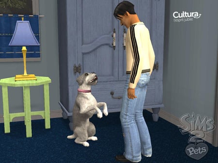 media/pim/les-sims-2-animaux-cie-3700664501598_6.jpg