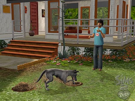 media/pim/les-sims-2-animaux-compagnie-5030931052484_11.jpg