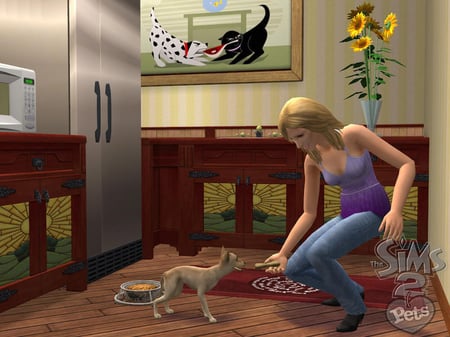 media/pim/les-sims-2-animaux-compagnie-5030931052484_3.jpg