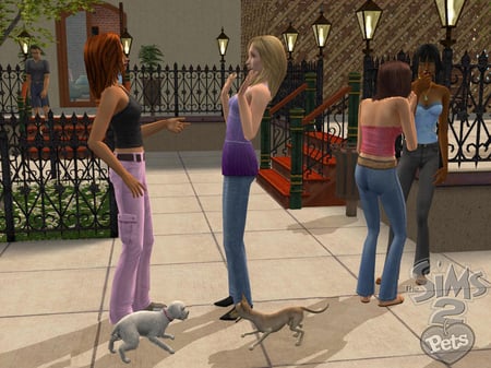 media/pim/les-sims-2-animaux-compagnie-5030931052484_7.jpg