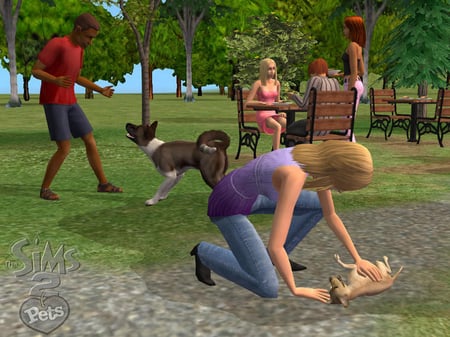 media/pim/les-sims-2-animaux-compagnie-5030931052484_8.jpg