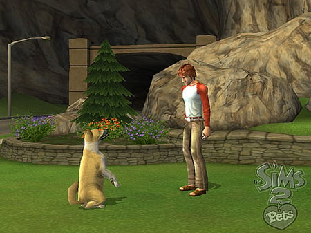 media/pim/les-sims-2-animaux-compagnie-ps2-5030931051807_10.jpg