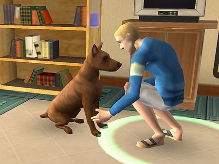 media/pim/les-sims-2-animaux-compagnie-ps2-5030931051807_2.jpg