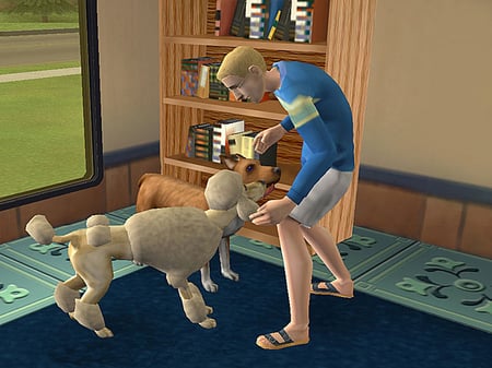 media/pim/les-sims-2-animaux-compagnie-ps2-5030931051807_3.jpg