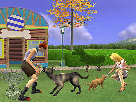 media/pim/les-sims-2-animaux-compagnie-ps2-5030931051807_5.jpg