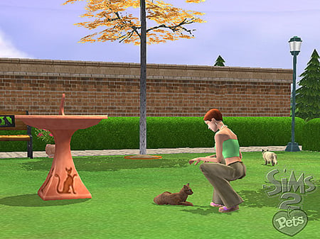 media/pim/les-sims-2-animaux-compagnie-ps2-5030931051807_8.jpg