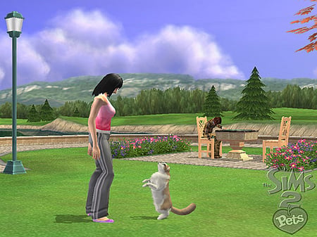 media/pim/les-sims-2-animaux-compagnie-ps2-5030931051807_9.jpg