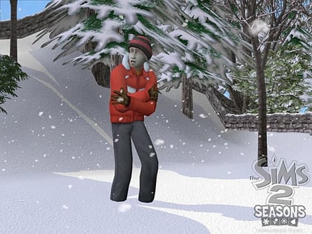 media/pim/les-sims-2-au-fil-des-saisons-pc-5030931055140_10.jpg