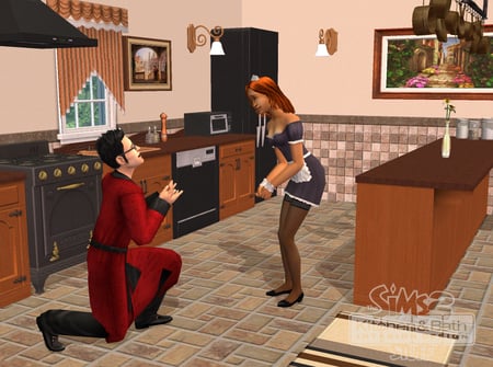 media/pim/les-sims-2-kit-cuisine-et-salle-de-bains-pc-5030931063480_10.jpg
