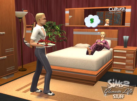 media/pim/les-sims-2-kit-glamour-pc-5030931050435_9.jpg