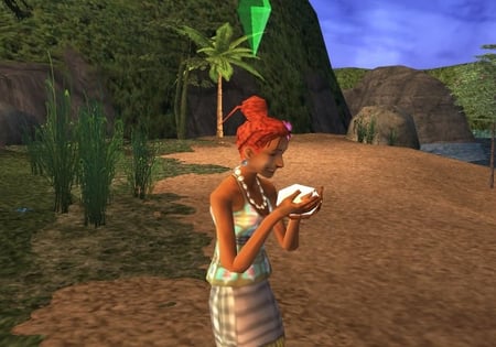 media/pim/les-sims-2-naufrages-ps2-5030931058745_9.jpg