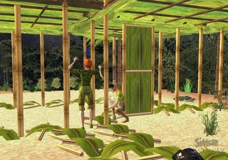 media/pim/les-sims-2-naufrages-wii-5030931058738_2.jpg