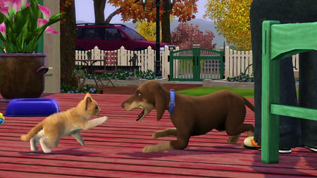 media/pim/les-sims-3-animaux-et-compagnie-5030931103278_10.jpg