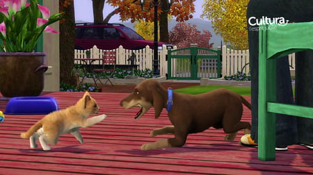 media/pim/les-sims-3-animaux-et-compagnie-5030931103278_5.jpg