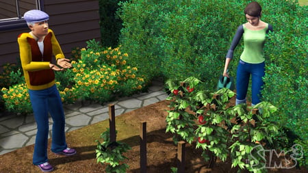 media/pim/les-sims-3-pc-5030931060878_10.jpg