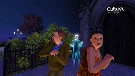 media/pim/les-sims-3-pc-5030931060878_8.jpg