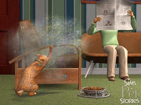 media/pim/les-sims-histoire-d-animaux-pc-5030931056970_5.jpg