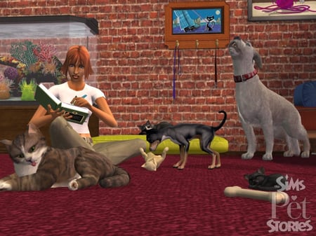 media/pim/les-sims-histoire-d-animaux-pc-5030931056970_7.jpg