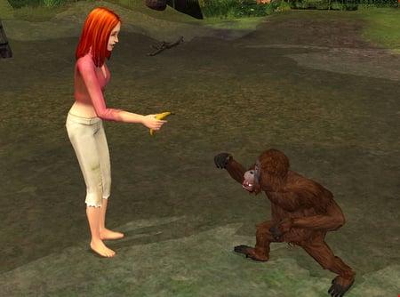 media/pim/les-sims-histoire-de-naufrages-pc-5030931060991_3.jpg
