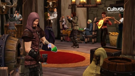 media/pim/les-sims-medieval-5030931091902_5.jpg