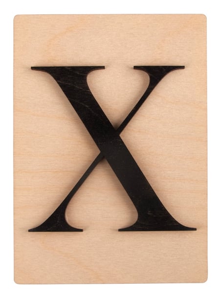 media/pim/lettre-x-plaque-bois-fsc-noir-3738887_1.jpg