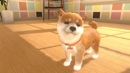 media/pim/little-friends-dogs-and-cats-5056208803252_5.jpg