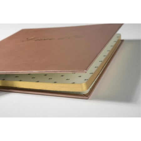 media/pim/livre-d-or-21-19-shiny-ass-3130630009849_0.jpg
