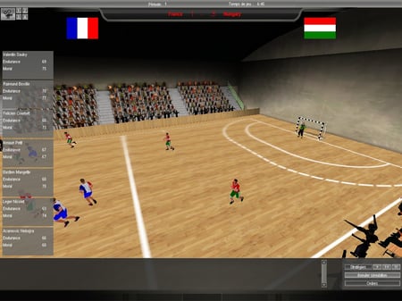 media/pim/lnh-handball-manager-2008-pc-3760126460900_11.jpg
