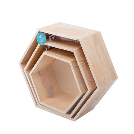 media/pim/lot-3-etageres-hexagonales-3700408598600_2.jpg