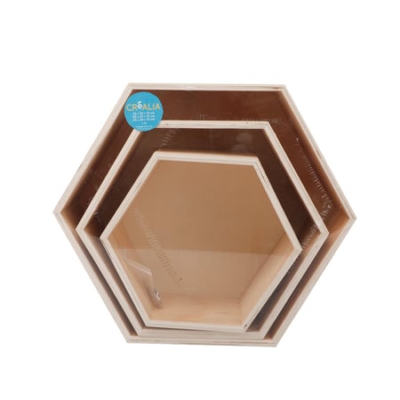 media/pim/lot-3-etageres-hexagonales-3700408598600_3.jpg