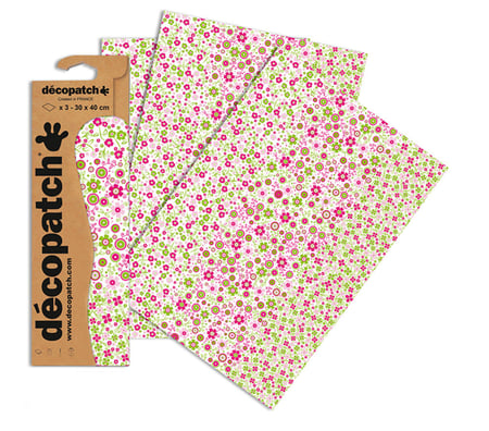 media/pim/lot-3-feuilles-deco-571-pochette-de-3-feuilles-identiques-3609510255718_5.jpg