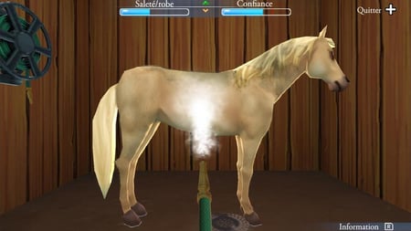 media/pim/ma-vie-avec-les-chevaux-2-8720256139089_7.jpg