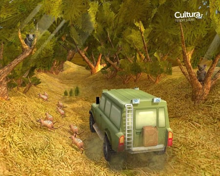 media/pim/ma-vie-de-en-australie-3ds-4017244987932_7.jpg