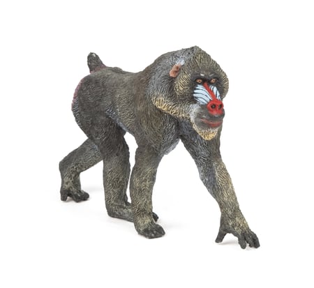 media/pim/mandrill-mandrill-3465000501211_0.jpg