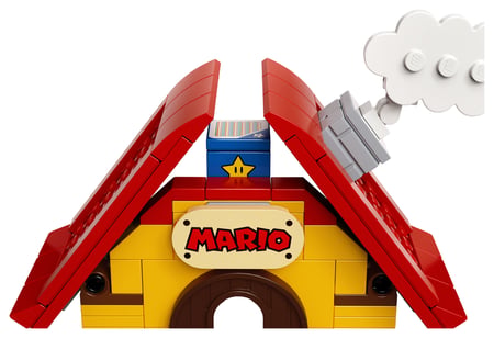 media/pim/mario-tbd-leaf-8-2020-5702016618464_26.jpg