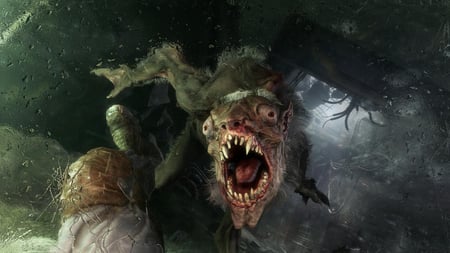 media/pim/metro-exodus-4020628779603_4.jpg