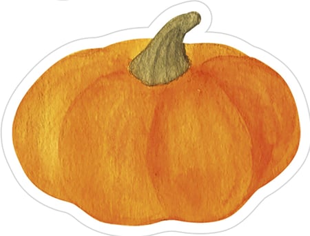 media/pim/mimi-stick-sach-12-pl-21x16cm-fruits-mimi-stick-3609510910167_10.jpg